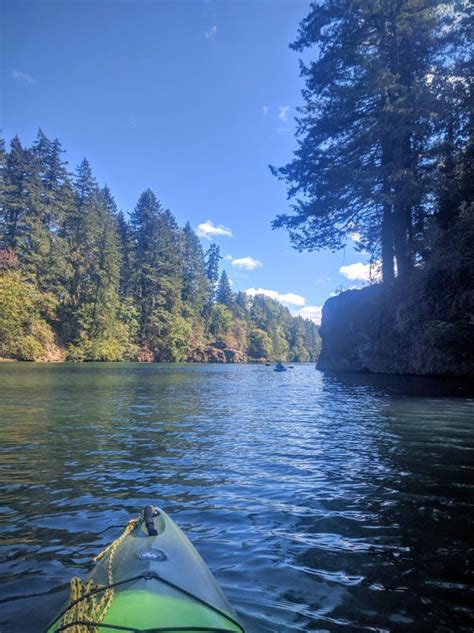 Amazing What You Can Find In Your Own Back Yard Estacada Lake Oregon