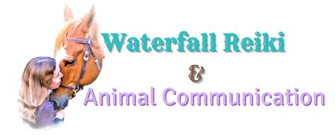 Waterfall Reiki And Animal Communication Animal Communicator