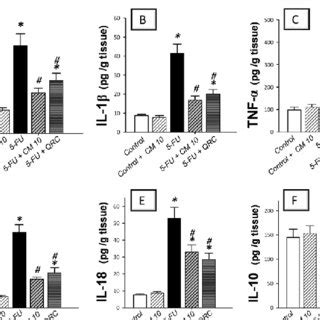 Camel Milk Activates Pi K Akt Enos Pathway In Fu Induced Renal