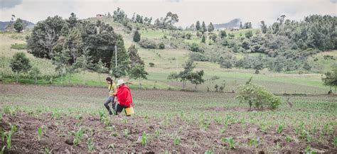 Agricultura Familiar Un Camino Integral Al Desarrollo Rural