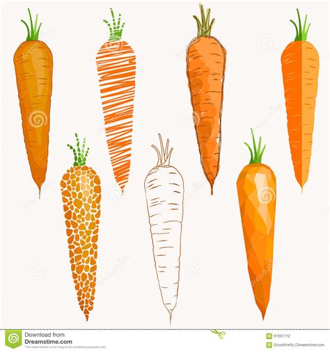 Set Of Carrots Differently Drawn Stock Vector Illustration Of Organic