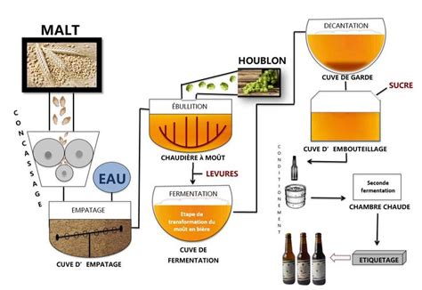 Épinglé par Alexandre sur Bière Brassage biere Fabrication biere