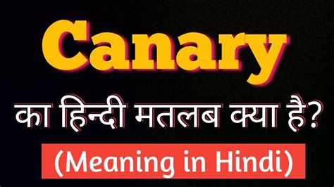 Canary Word Meaning।।canary का हिन्दी मतलब क्या है Canary Vocabulary