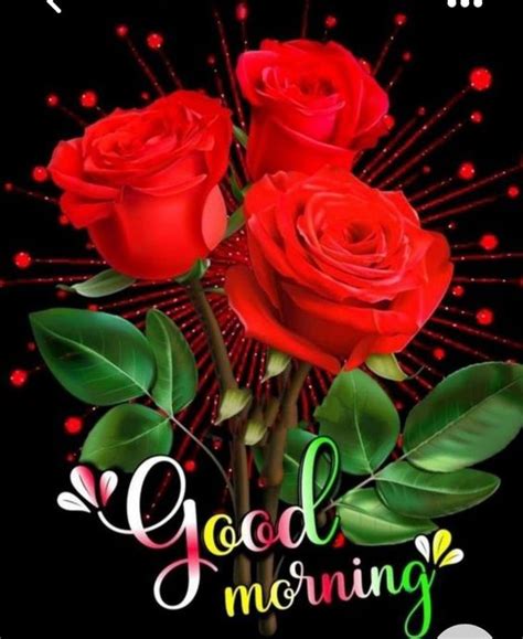 Latest Good Morning Images Rose Flowers For Whatsapp