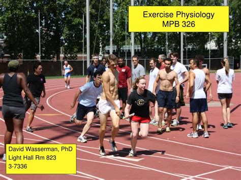 Ppt Exercise Physiology Mpb Powerpoint Presentation Free