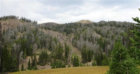 Hoodoo Basin…an Eerie Place and a Story – The Human Footprint