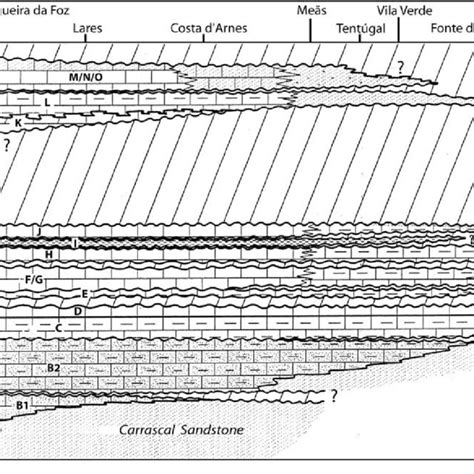 Chronostratigraphy And Biostratigraphy Of The Carbonate Succession