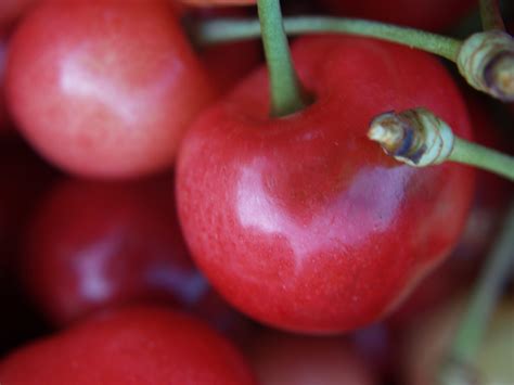 Delicious Cherry Close Up Hd Wallpaper