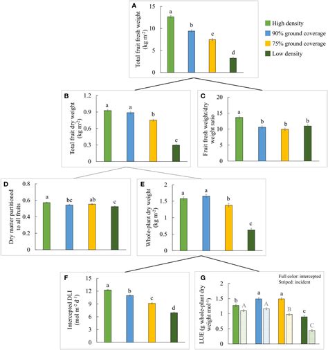 Frontiers Dynamic Plant Spacing In Tomato Results In High Yields