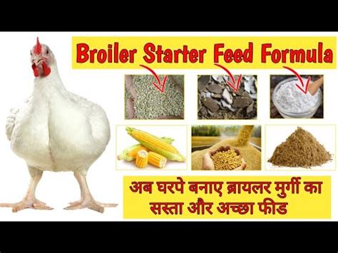 Broiler Starter Feed Formulation Broiler Feed Kaise Banaye How To