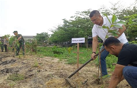 PT Timah Tbk Bersama Kodim 0431 Bangka Barat Tanam Pohon Mangrove Dan