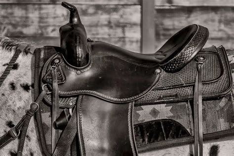 Best 6 Western Saddle Pads For Horse And Rider