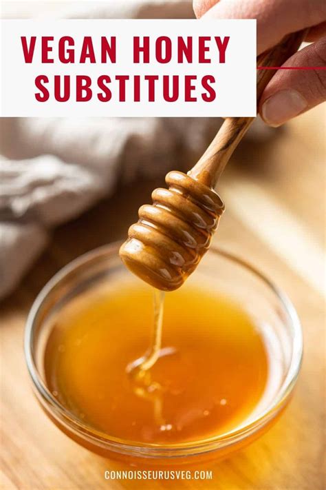 10 Best Substitutes For Honey Connoisseurus Veg