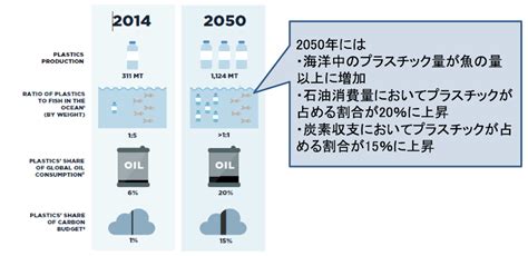 日本人のプラごみ廃棄量は世界2位。世界の「脱プラスチック」の動き 日本財団ジャーナル