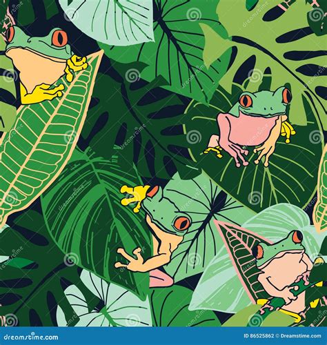 Tree Frogs And Tropical Leaves Vector Illustration Cartoondealer