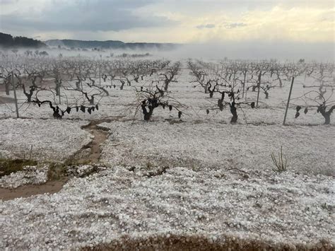 El Pedrisco Causa Más De 40 Millones De Pérdidas En 15 000 Y 22 000