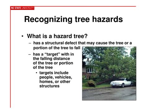 Ppt Identifying Hazardous Trees Powerpoint Presentation Free