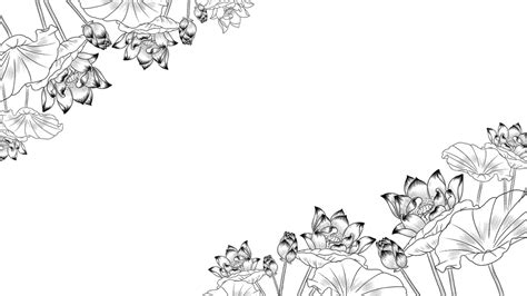 Lotus Border Lotus Leaf Line Draft Frame Lotus Lotus Leaf PNG