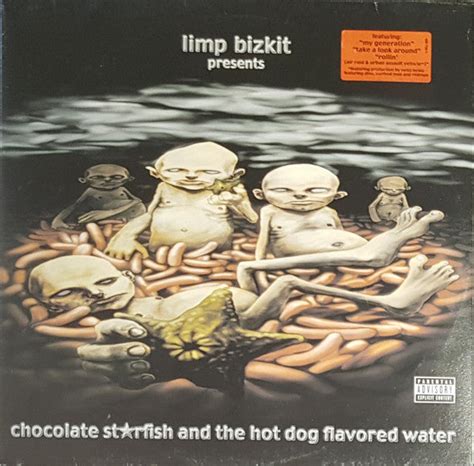 Chocolate Starfish And The Hot Dog Flavoured Water by Limp Bizkit ...