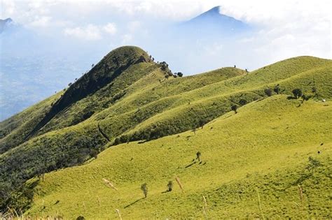 5 Jalur Pendakian Gunung Merbabu Yang Resmi KATA OMED