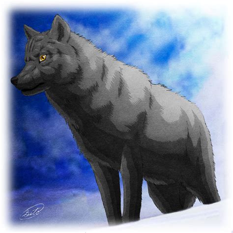 Black Wolf by SheltieWolf on DeviantArt