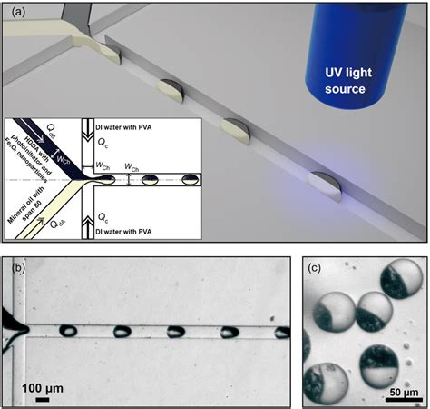 Schematics Of The Janus Droplet Generated In The Microchannels A