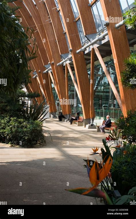 Interior of Sheffield Winter Gardens Stock Photo - Alamy