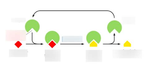 enzyme substrate complex Diagram | Quizlet