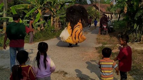 Barongan Super Galak Sekali Vs Pasukan Bocil Pengejek Sedekah Bumi Desa