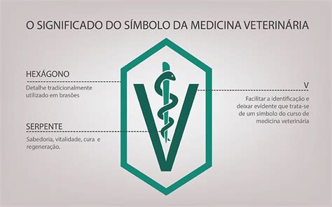 Significado Do Simbolo Da Cobra De Farmacia