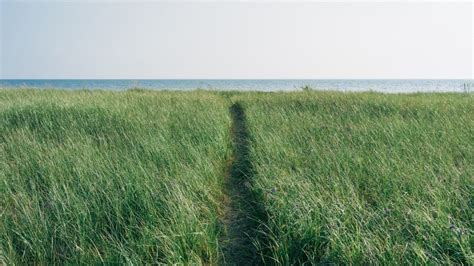 Free Images Horizon Field Meadow Prairie Wind Crop Pasture