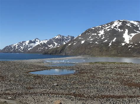 Scandinavian Seaplanes - Life is here to be enjoyed. This passenger