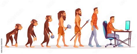 Human Evolution Of Monkey To Modern Man Programmer Computer User