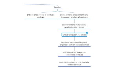 órganos de los sentidos y sus funciones pptx