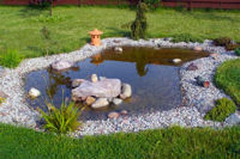 Bassin De Jardin Comment Le Construire