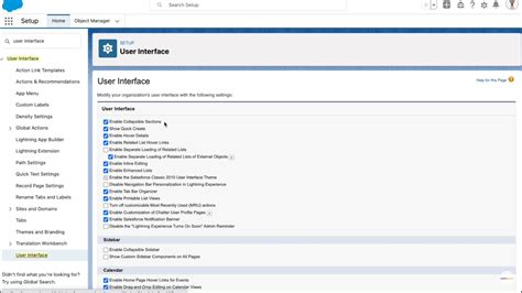 What Are User Interface Settings In Salesforce Video Included