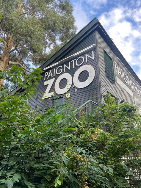 7 Jul Sun Plymouth To Paignton Zoo Or Esplanade Or Goodrington