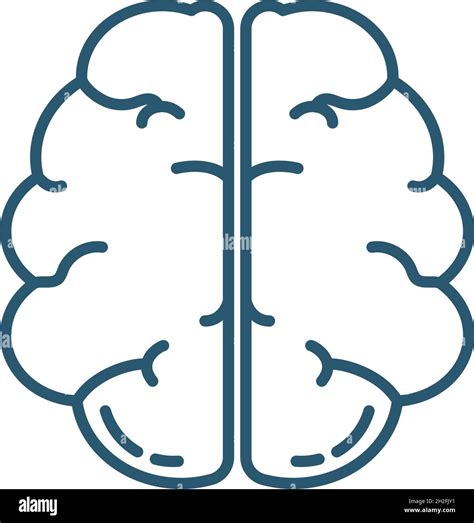 Icono Del Cerebro Humano Sobre Fondo Blanco Imagen Vector De Stock Alamy