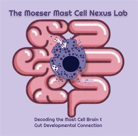 The Moeser Mast Cell Nexus Lab Gi Stress Biology Lab