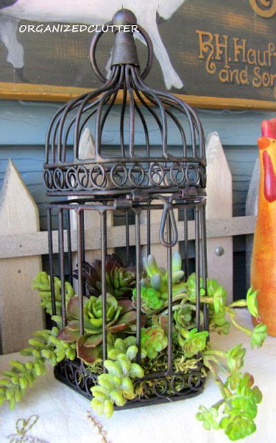 Bird Cage Planters Tutorial Plus Decorative Birdcage Planter Ideas