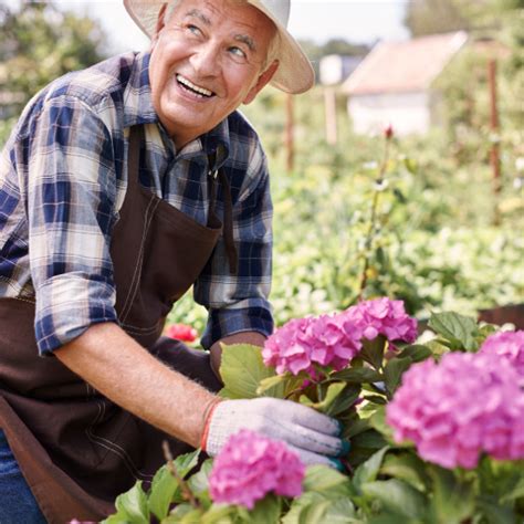 Weston Nurseries Premium Plant Garden And Landscape Supply