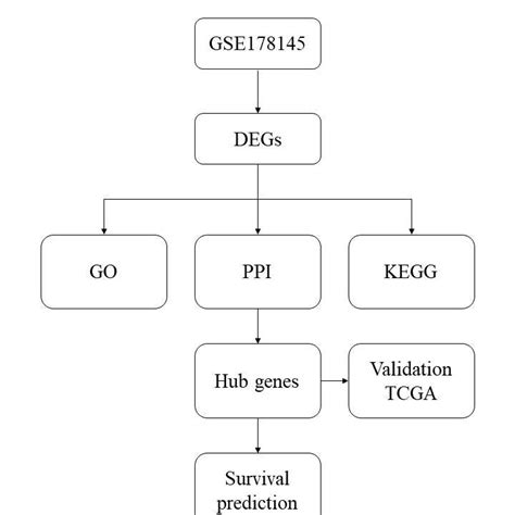 Cxcl And Il Prognostic Markers And Immune Cell Infiltration