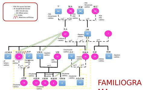 Familiograma 1 PCN Pensionado PCN Por causas naturales R católico