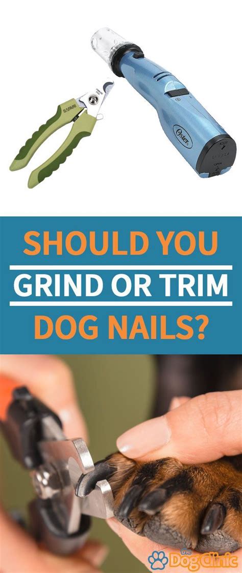 Dog Nail Clippers Vs Nail Grinder Which Is Best