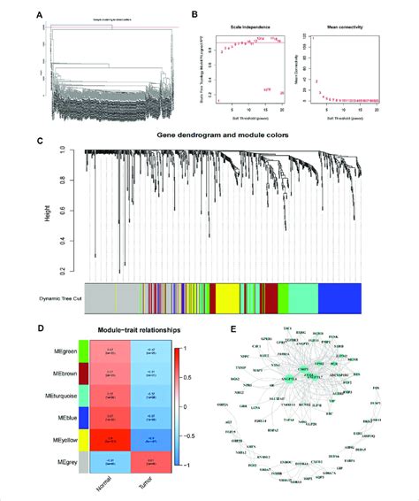 WGCNA Co Expression Model A The Tree Diagram Of Gene Cluster