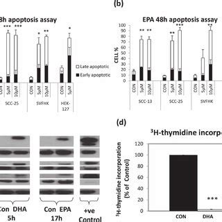 Effect Of N Pufas On Ros Levels And Jnk Phosphorylation In Scc