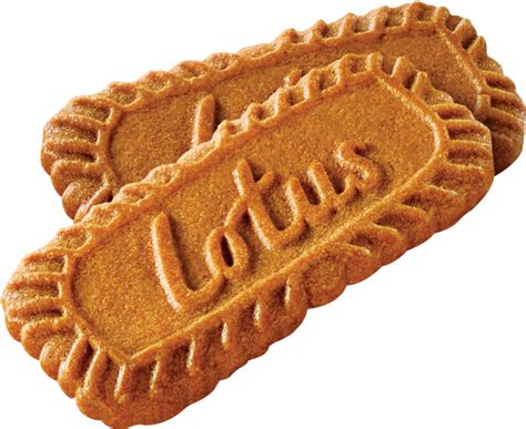 Download Lotus Biscoff Biscuit