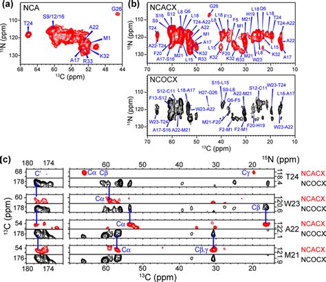 2d And 3d ¹⁵n ¹³c Correlation Spectra Of Dlpe Bound Bm2 A 2d Nca Download Scientific Diagram