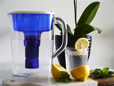 Solo Lisa Tries: Pur Water Filter Pitcher - Solo Lisa