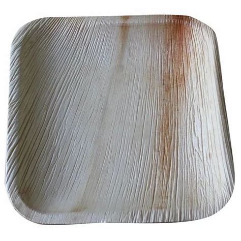 Inch Square Areca Leaf Plate At Rs Piece Pakku Mattai Plate In